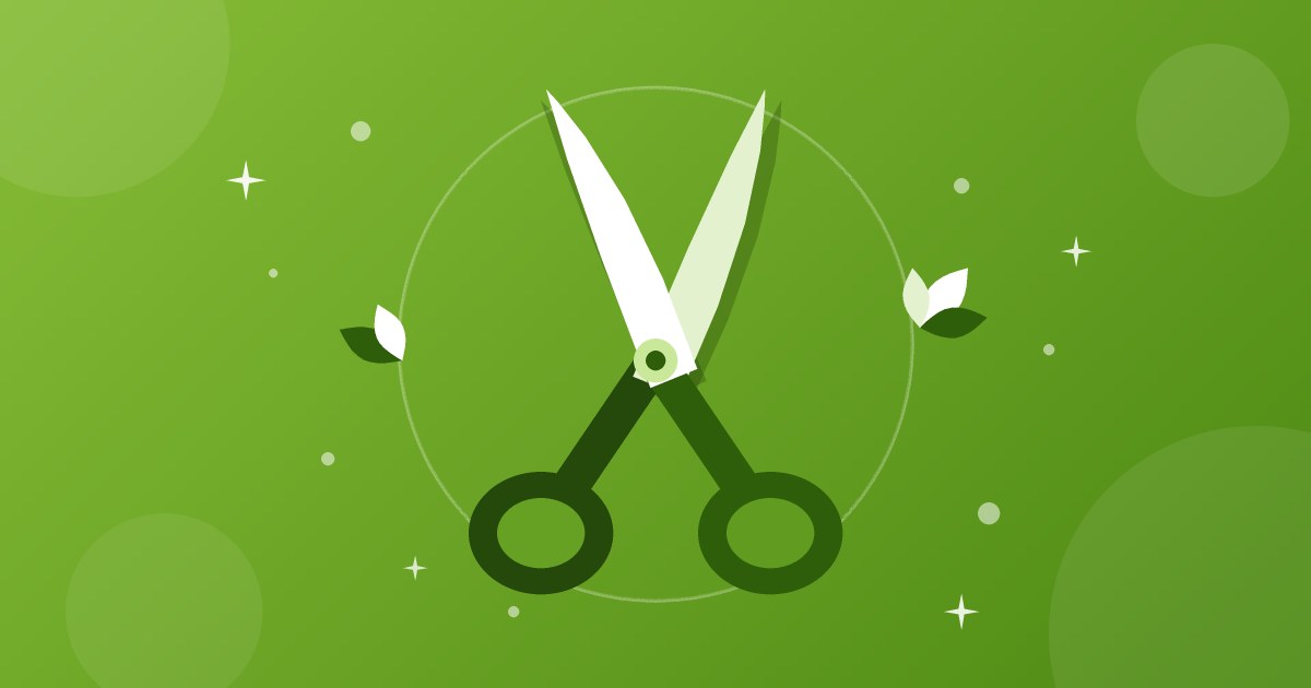 6 Best Kitchen Scissors in Bangladesh (2026) With Prices
